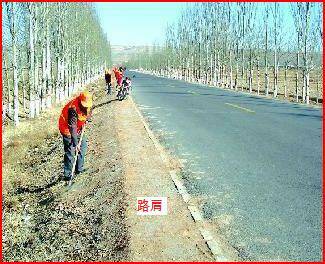 馬路路肩示意圖